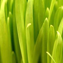 网页DDOS攻击平台