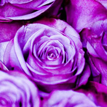 【视频教程】详细的黑客软件攻击器手机版