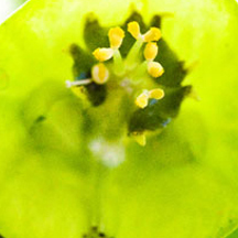 DDOS在线压力测试